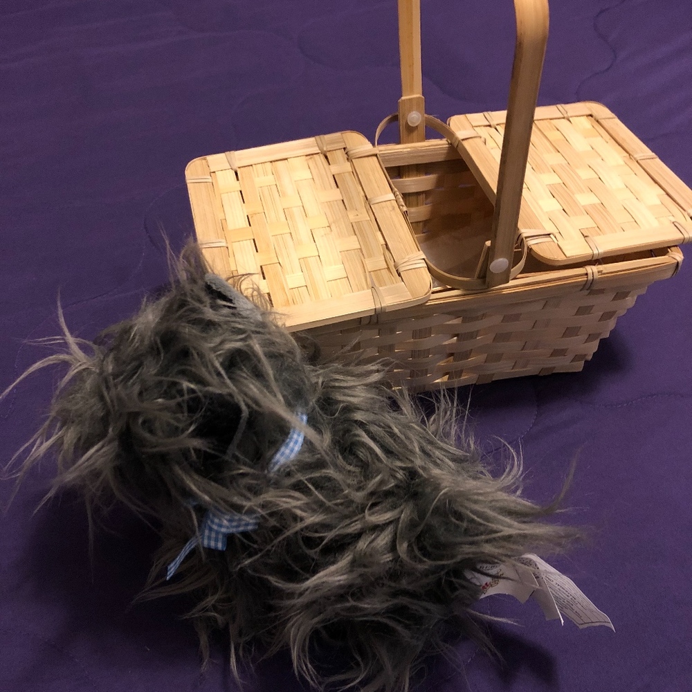 Wizard Of Oz Dorothy Costume With Toto & Basket Gem